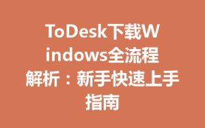ToDesk下载Windows全流程解析：新手快速上手指南-ToDesk