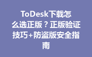 ToDesk下载怎么选正版？正版验证技巧+防盗版安全指南-ToDesk