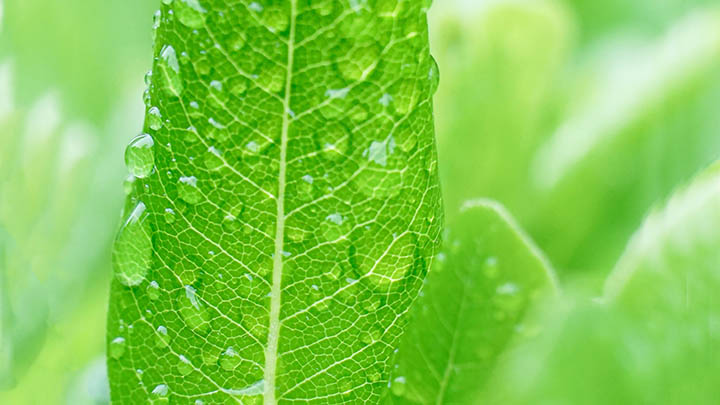 iPad如何下载ToDesk?超全教程+官方资源直达 iPad如何下载ToDesk?超全教程+官方资源直达 二