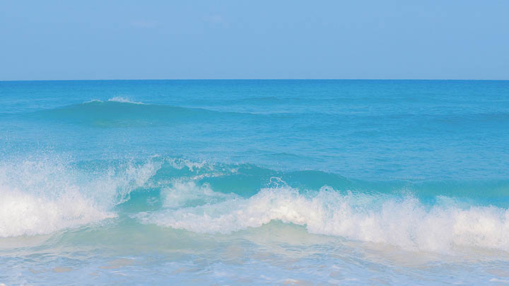 商家让ToDesk下载关键原因揭秘 商家让ToDesk下载关键原因揭秘 二