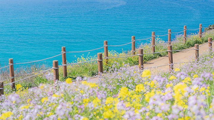 ToDesk下载云电脑指南+极速访问教程 二