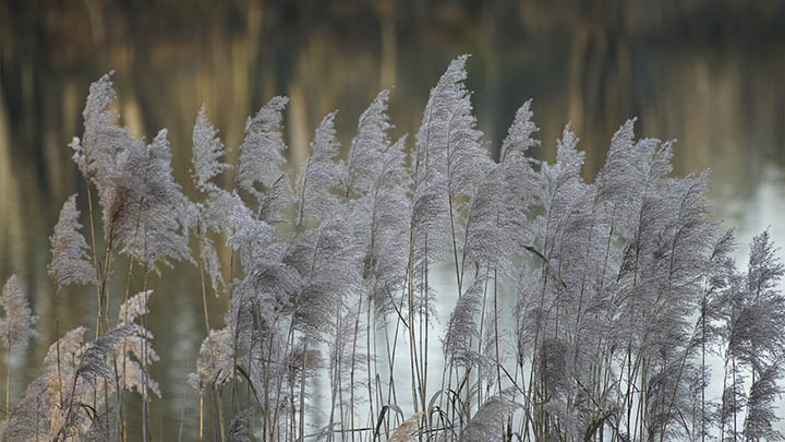 ToDesk下载官网指南+官方入口一键获取 ToDesk下载官网指南+官方入口一键获取 二