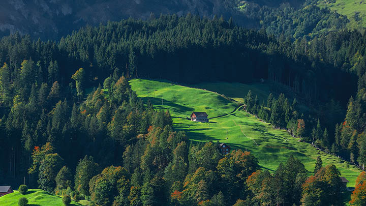 远程码ToDesk下载教程+官方入口解析 二