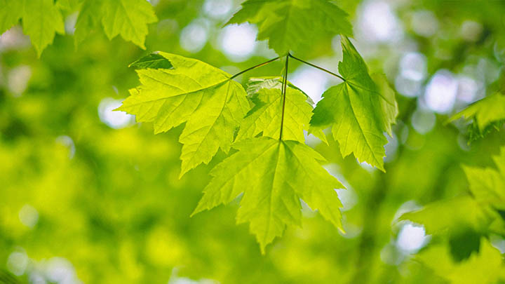 ToDesk下载官方电脑指南?探索最新鲜安全的下载渠道 ToDesk下载官方电脑指南?探索最新鲜安全的下载渠道 二