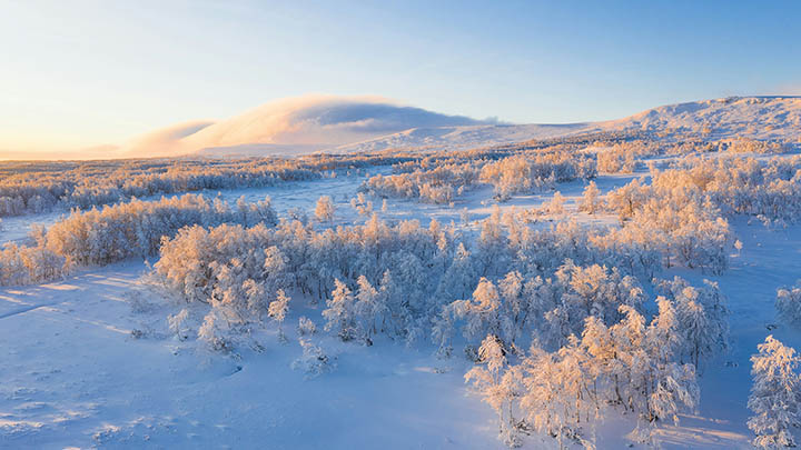 ToDesk安卓下载详解2025年最新操作指南 ToDesk安卓下载详解2025年最新操作指南 二
