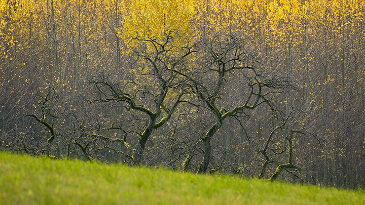 ToDesk下载是否安全?深度解析风险与规避方法 ToDesk下载是否安全?深度解析风险与规避方法 二