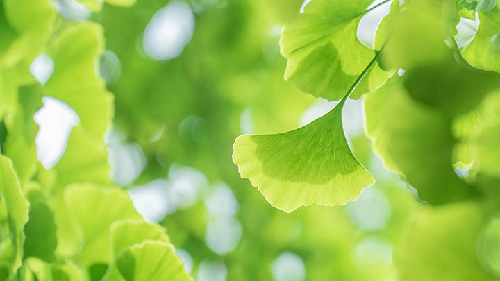 ToDesk远程软件下载卡在解析包?全面指南解决安装问题 ToDesk远程软件下载卡在解析包?全面指南解决安装问题 二