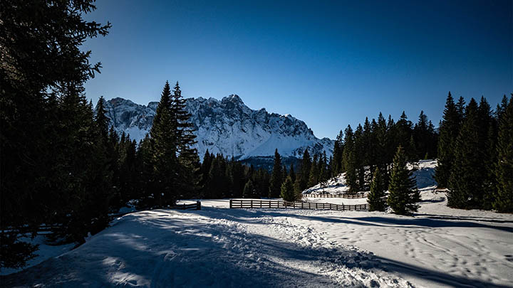 ToDesk正版下载指南+获取官方入口 二