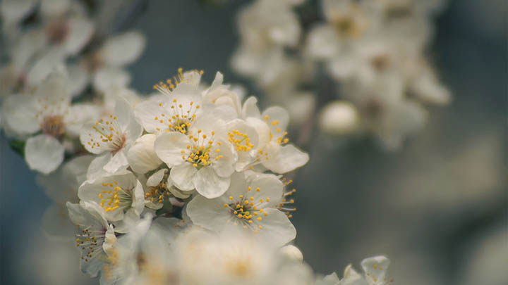 ToDesk下载电脑版+全新教程使用指南 二