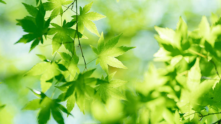 ToDesk下载被阻止?3种解决方案轻松搞定 ToDesk下载被阻止?3种解决方案轻松搞定 二