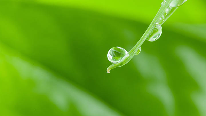 ToDesk下载管理版:快速上手全攻略 ToDesk下载管理版:快速上手全攻略 二