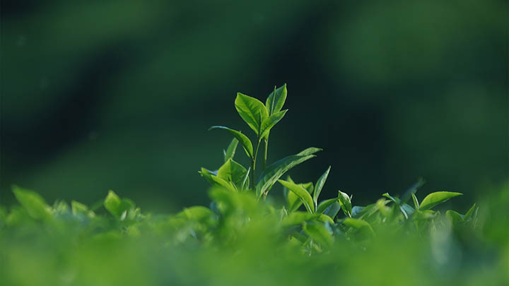 ToDesk下载安装完成后文件位置怎么看?快捷路径查找指南 ToDesk下载安装完成后文件位置怎么看?快捷路径查找指南 二