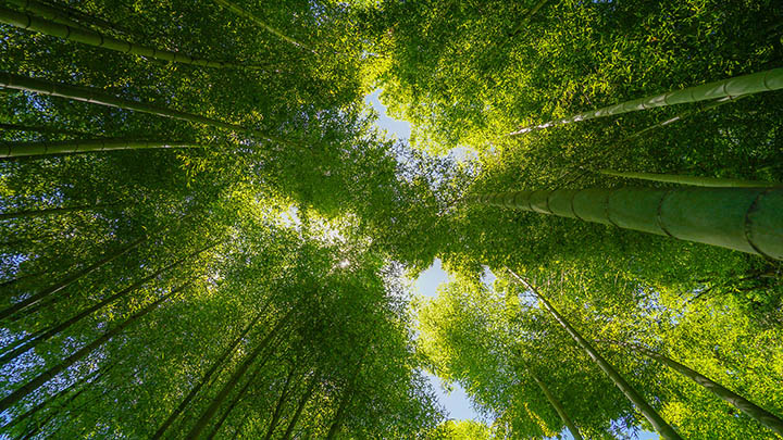 ToDesk下载官网App指南：快速获取最新版本教程 二