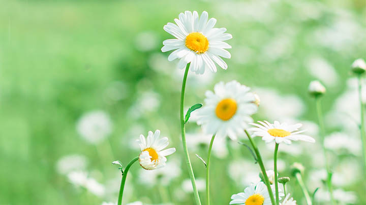 ToDesk下载电脑版怎么操作2025年最全指南! ToDesk下载电脑版怎么操作2025年最全指南! 二