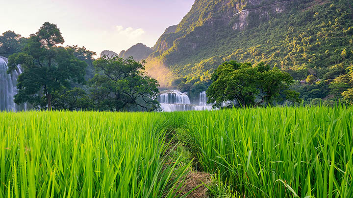 Mac用户必看:ToDesk下载及远程软件使用全攻略 Mac用户必看:ToDesk下载及远程软件使用全攻略 二