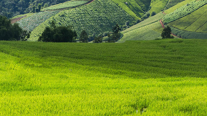 ToDesk控制端下载全指南：快速定位下载地址与操作详解2025年 二