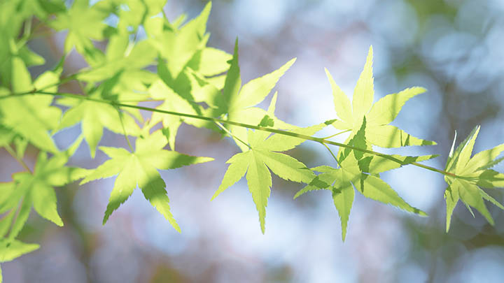 ToDesk下载：云电脑轻松搞定3步攻略 二