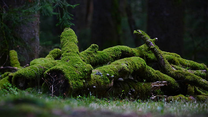 ToDesk下载地址在哪里+官方免费下载指南 ToDesk下载地址在哪里+官方免费下载指南 二